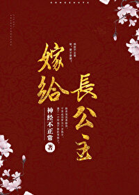 嫁给长公主