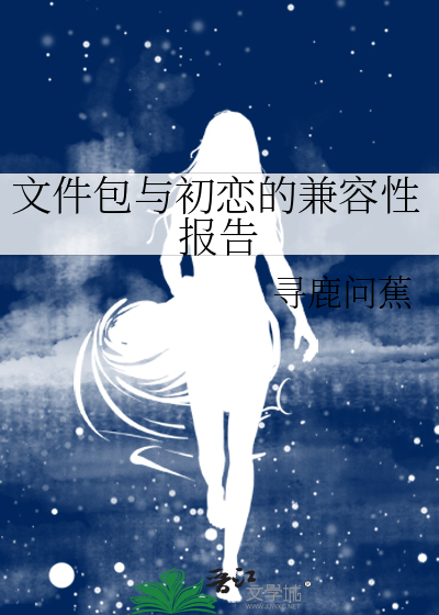 文件包与初恋的兼容性报告