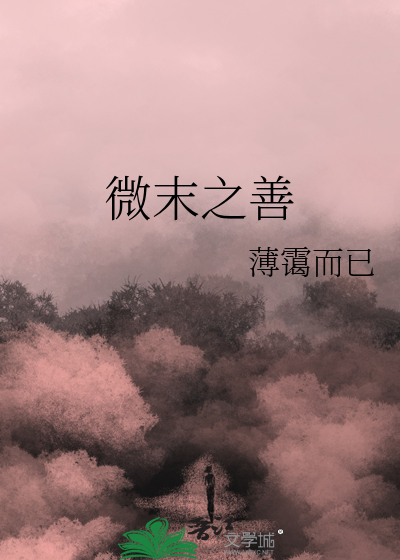 微末之善